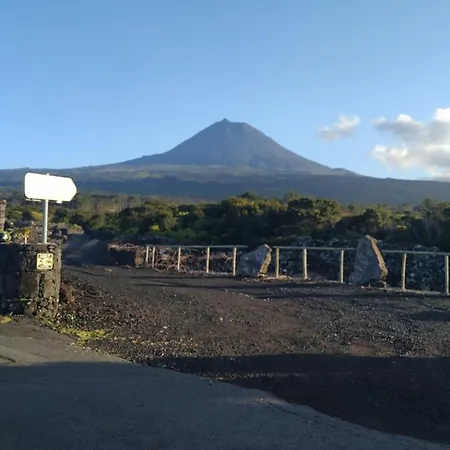 Baco's Vineyard Сasa de vacaciones