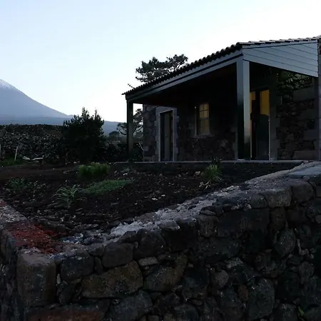 Baco's Vineyard Сasa de vacaciones *