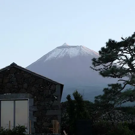 Сasa de vacaciones Baco's Vineyard