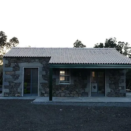 Baco's Vineyard * Lajido