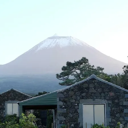 Baco's Vineyard Сasa de vacaciones