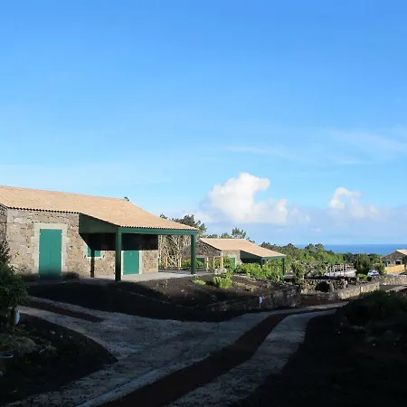 Baco's Vineyard * Lajido