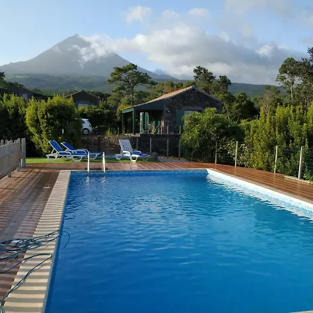 Baco's Vineyard Lajido