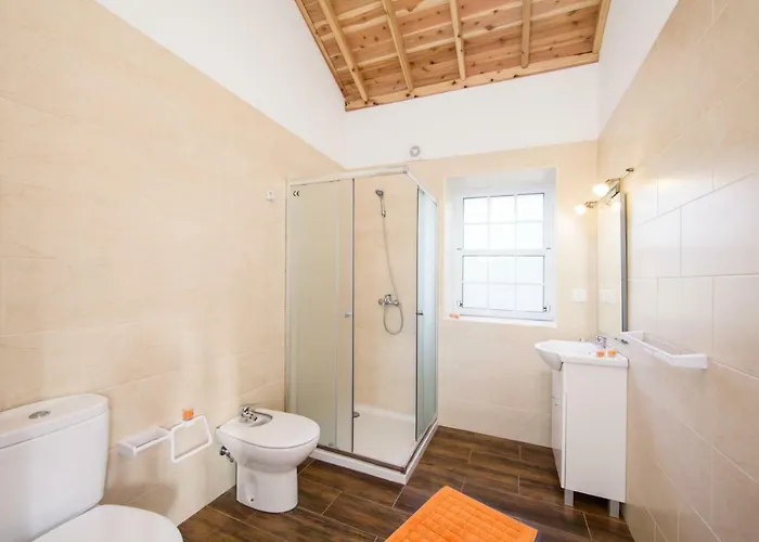 Baco's Vineyard Lajido