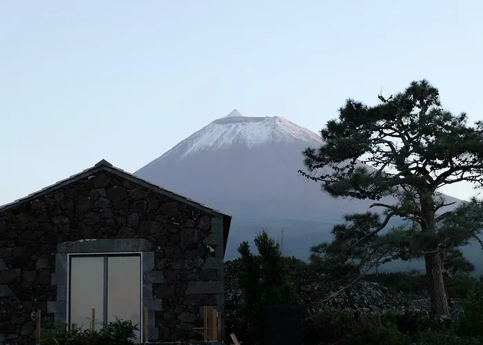 Сasa de vacaciones Baco's Vineyard