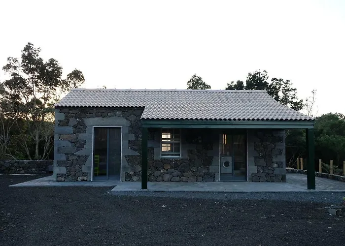 Baco's Vineyard * Lajido