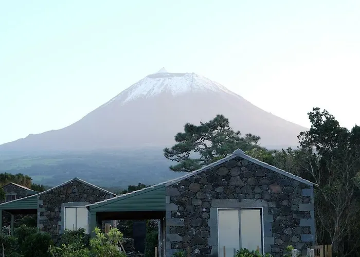 Baco's Vineyard Сasa de vacaciones