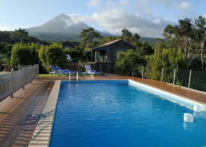 Baco's Vineyard Lajido